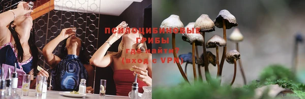 а пвп мука Абаза