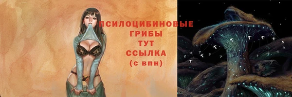 а пвп мука Абаза