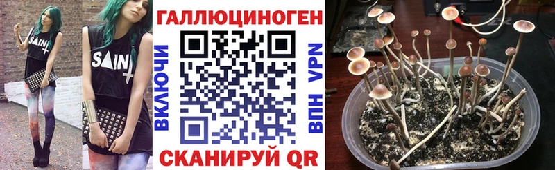 Псилоцибиновые грибы GOLDEN TEACHER  Азов 